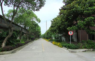 公司西厂区